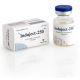 Сустанон Alpha Pharma (Induject) флакон 10 мл (250 мг/1 мл)